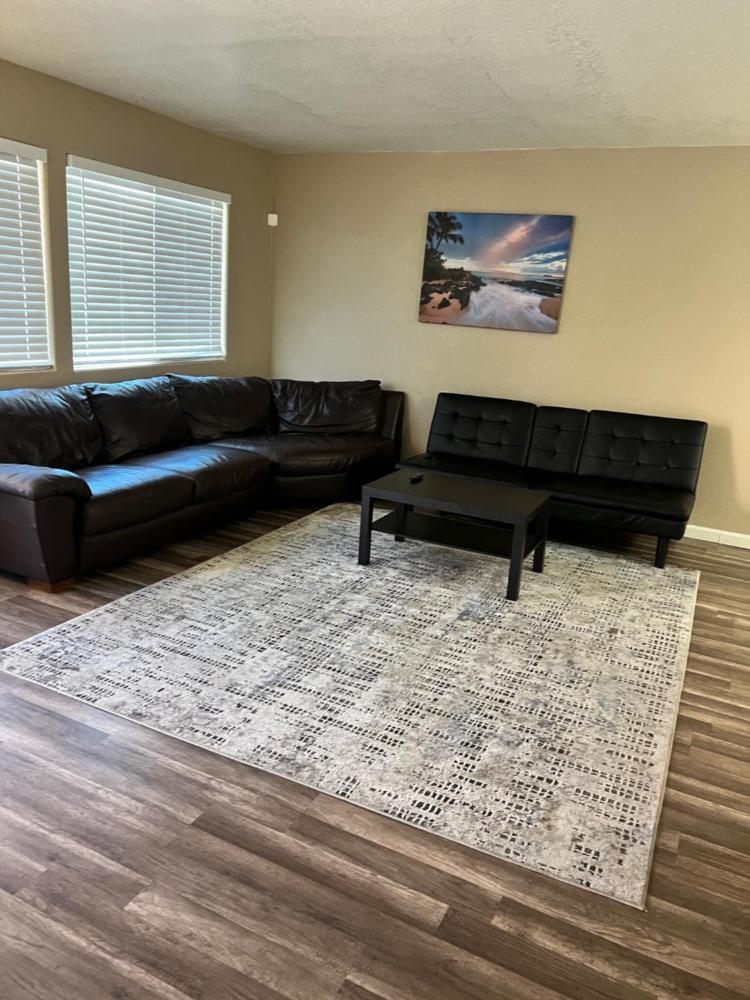 One-Bedroom Apartment interior